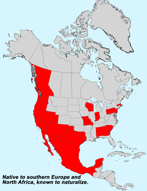 North America species range map for Centaurea melitensis: Click image for full size map